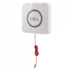 Кнопка вызова iBells 310S влагозащищенная со шнуром для МГН в Люберцах